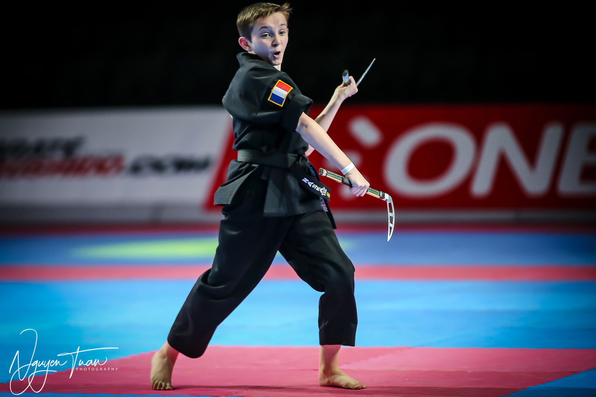 20190324 Festival des Arts Martiaux 0272